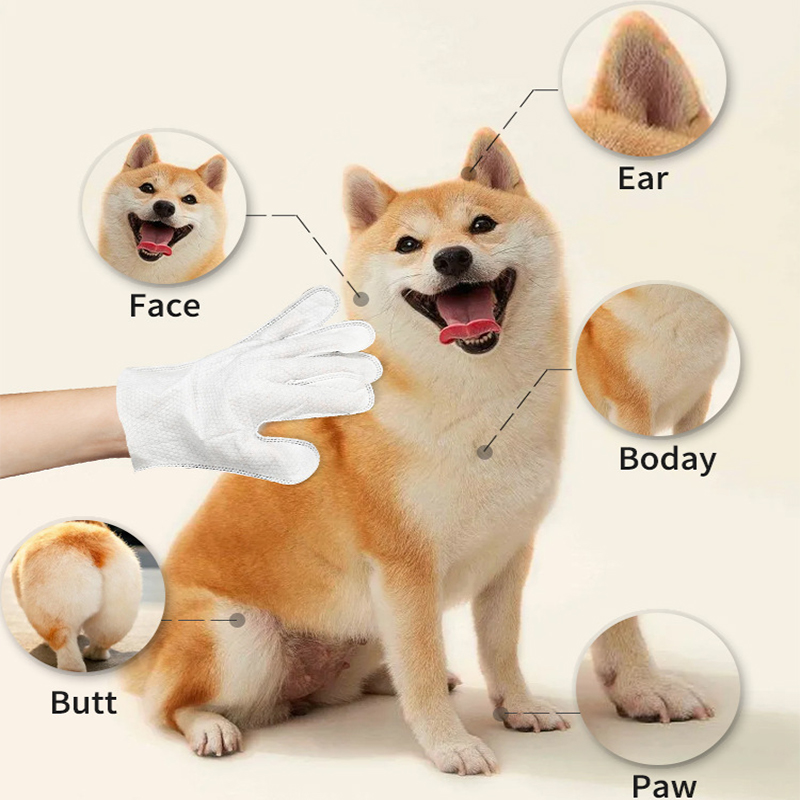 Làm sạch lông thú hút thuốc làm ướt găng tay thú cưng dùng một lần